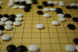 阿尔艾因战术调整，关键球员或将首发出战  第2张